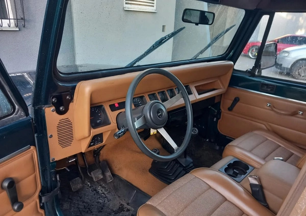 Jeep Wrangler cena 46000 przebieg: 123660, rok produkcji 1994 z Ruda Śląska małe 172